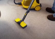 A professional carpet cleaning steamer is used on an area rug.